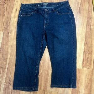 Denver Hayes denim capri vintage Curvy  size 16 x 22 jeans